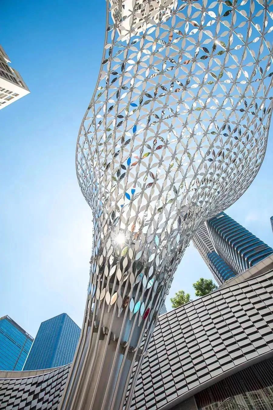 春天去哪儿玩？ABCD四条线路带你“狂飙”福田！