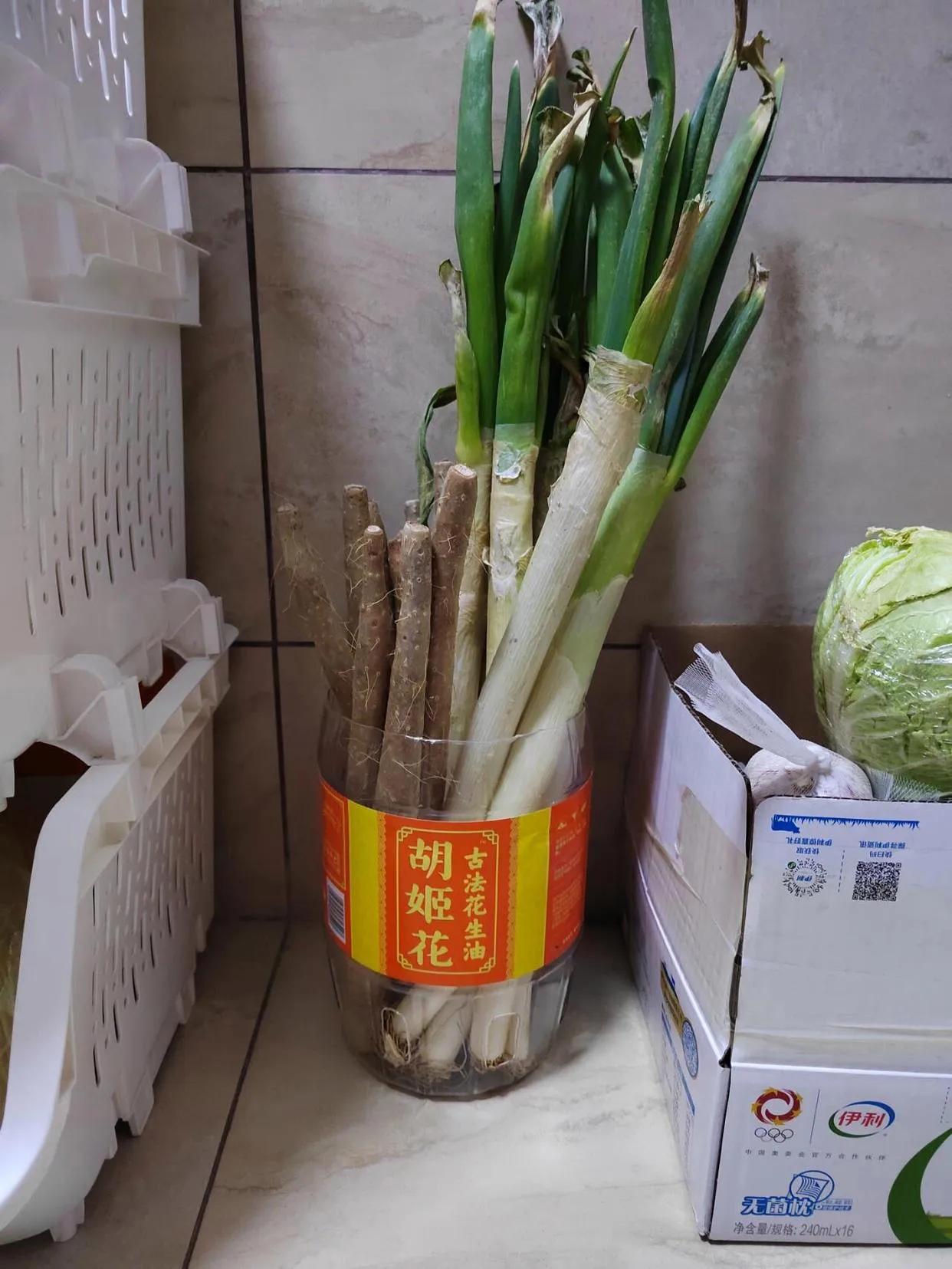 6个收纳小妙招让家变精致,家庭最实用的收纳和整理