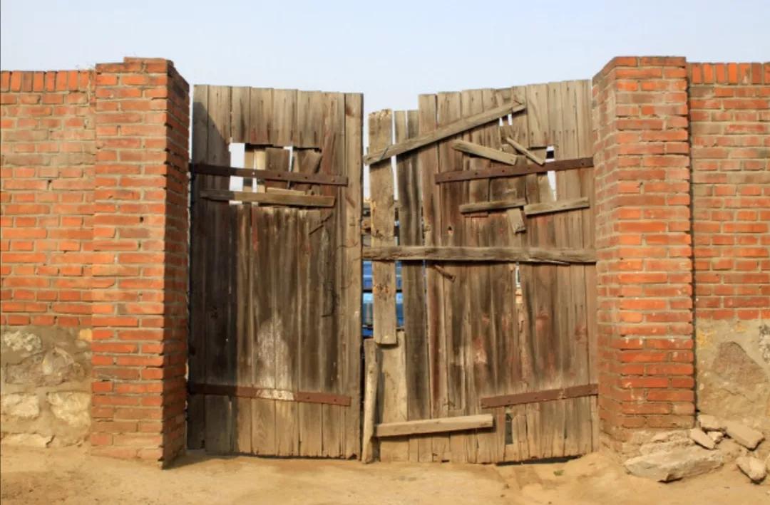 小小说｜风流的老太太