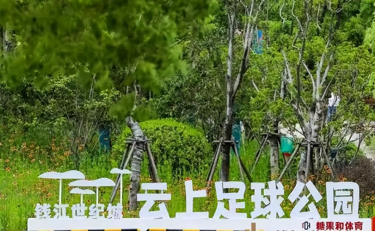 “挤”出来嵌入式球场,萧山人的足球梦