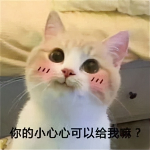 淘宝无货源如何获取流量,淘宝无货源电商操作详细全教程