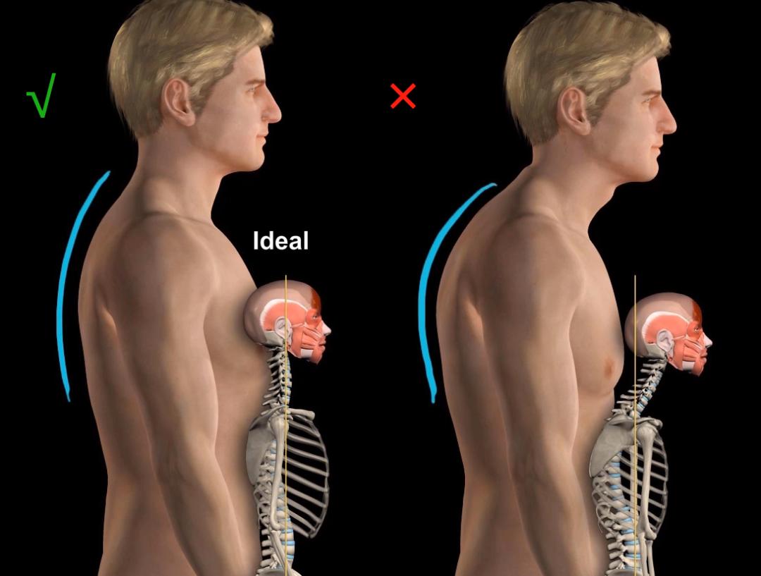 改善圆肩驼背的瑜伽体式,改善圆肩驼背的健身动作
