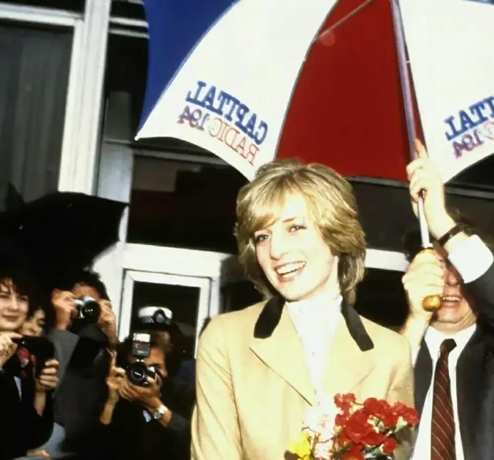 漫画讽刺查尔斯,英国讽刺漫画查尔斯解读