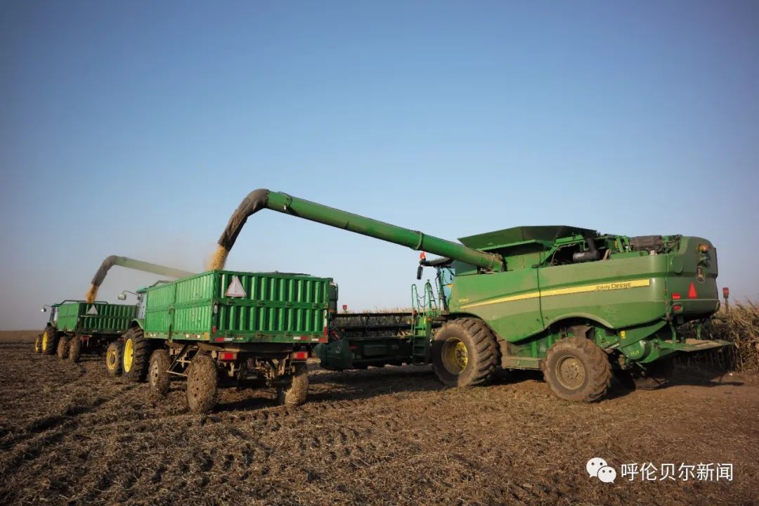 走近黑土粮仓⑤丨实施农服促进步联农带农共致富——呼伦贝尔农垦集团积极推进农业社会化服务