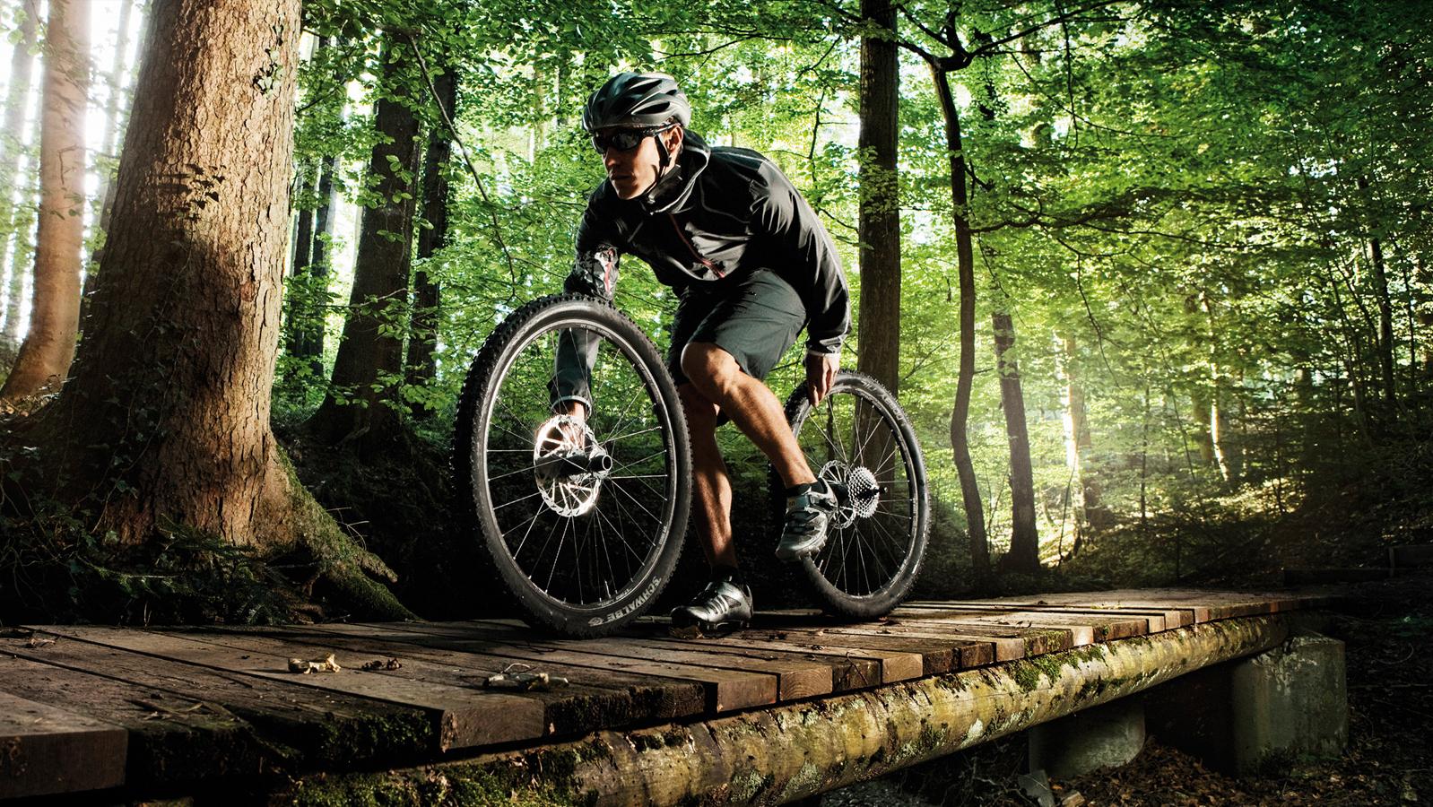 全球自行车十大顶级变速器品牌,双减震儿童山地自行车十大品牌