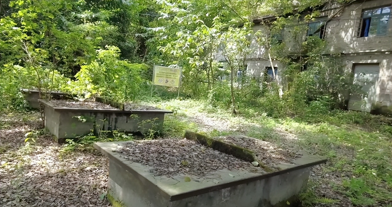 北碚这所中专校园荒废了13年还保留完好；30多年前比大学还吃香