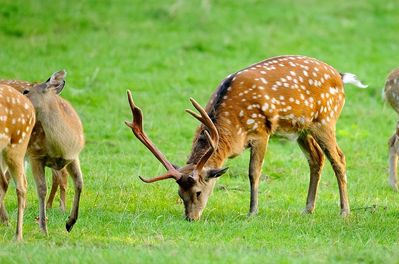 定西户外露营地推荐,定西有帐篷的野外露营地