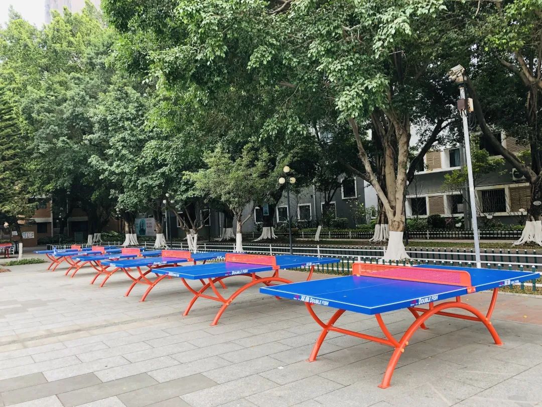 深圳市光明区民办高级中学,深圳光明高级中学体育场