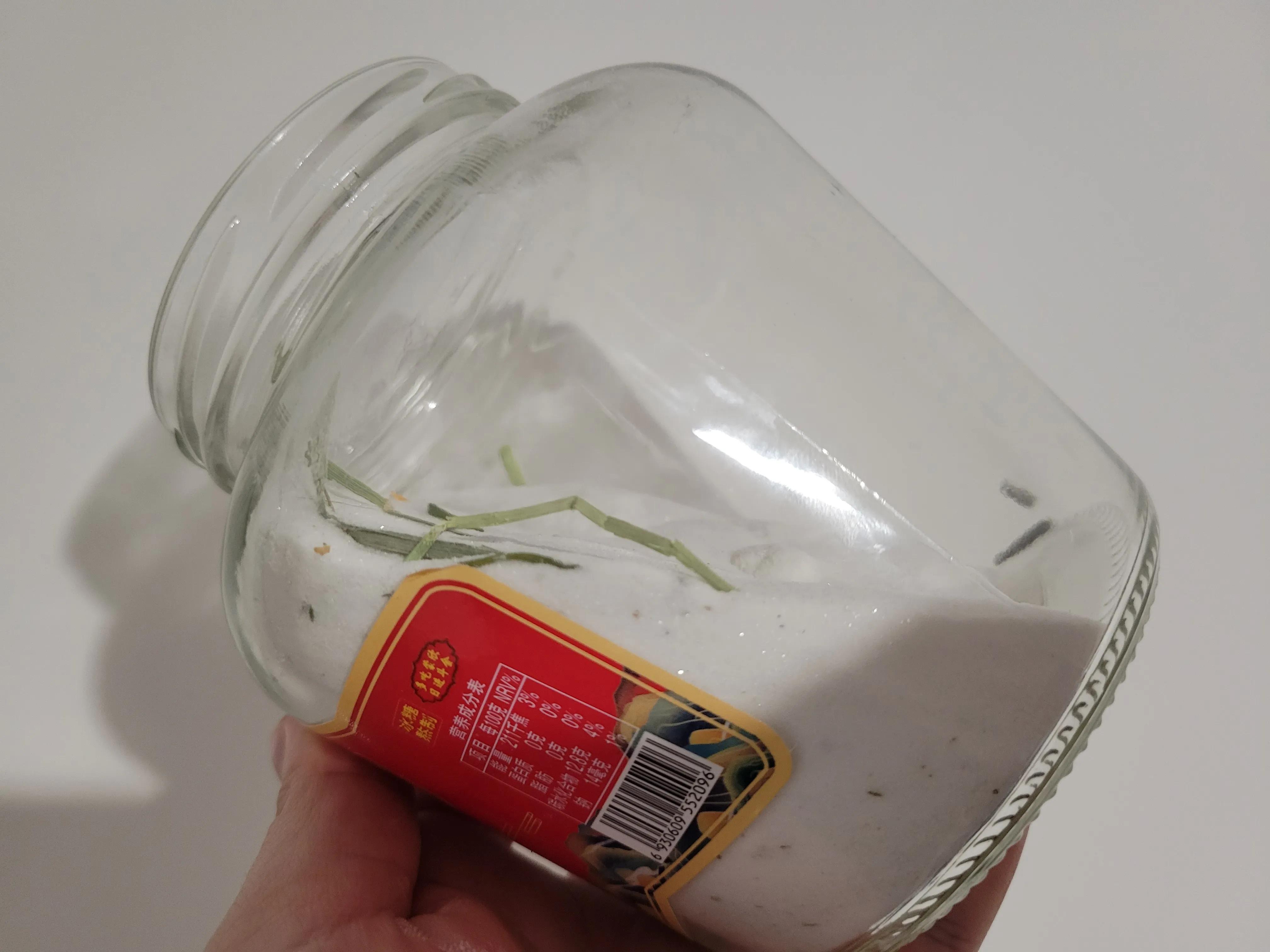 用罐头玻璃瓶可以当仓鼠窝吗,用罐头玻璃瓶可以当仓鼠睡窝吗