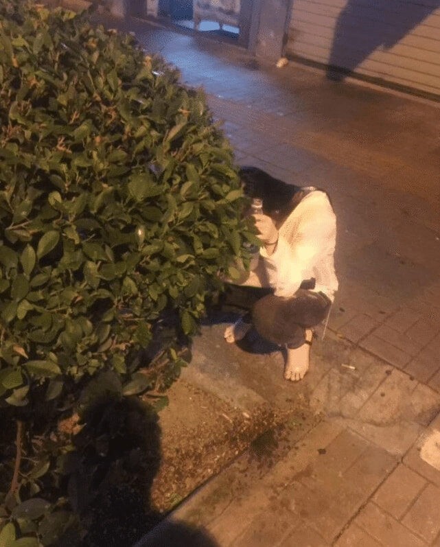 老公帮老婆买卫生巾的搞笑视频,男生帮女生买卫生巾搞笑版