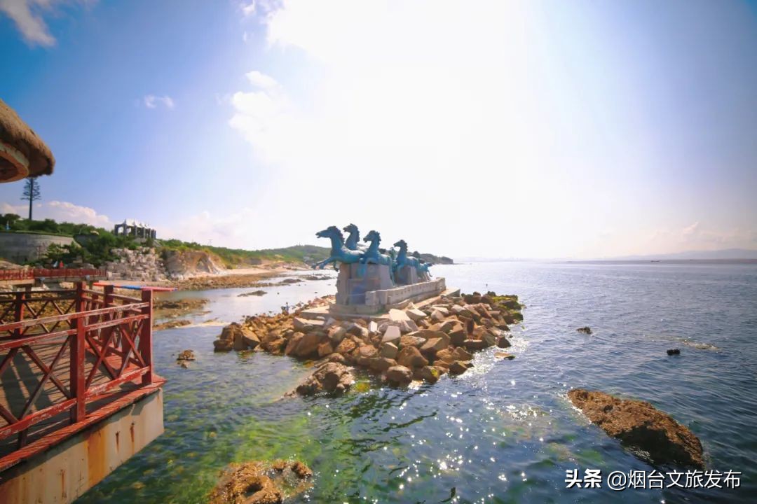 养马岛旅游真实感受,威海岛屿小众养马岛