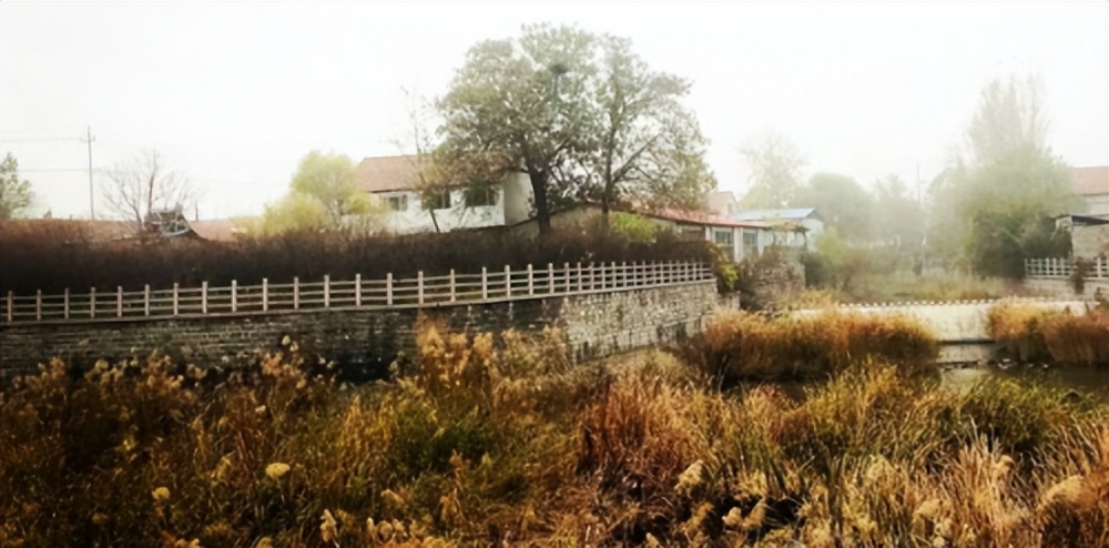 轩逸悦享款驾驶体验,轩逸悦享驾驶感受