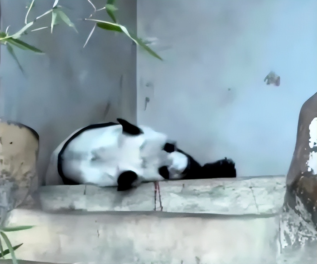 泰国不再被中国人喜爱?背后原因令人深思，网友：怕你噶我腰子！