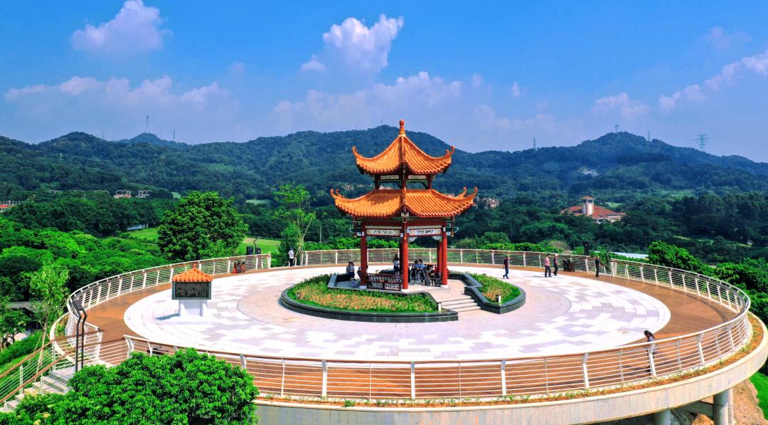 端午假期光明活动超精彩！音乐live、摘荔枝、包粽子……等你解锁！