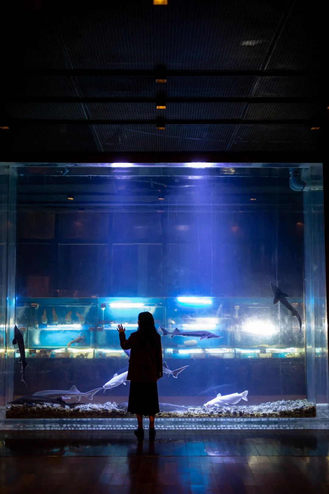 水沙涟·海鲜啤酒季丨夏日呈现青岛风情十人海鲜套餐