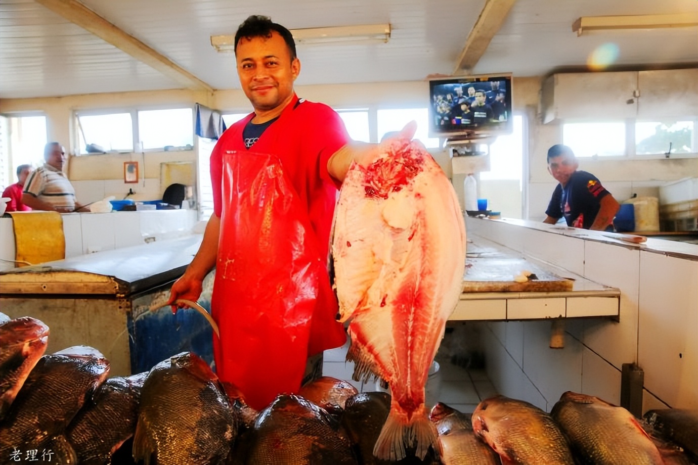 南美四国之旅,巴西亚马逊之行