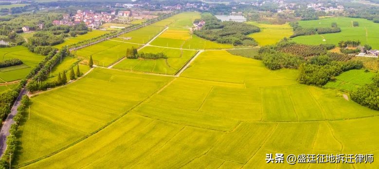 被迫成为“钉子户”怎么办?一文搞懂钉子户的法律风险和救济途径