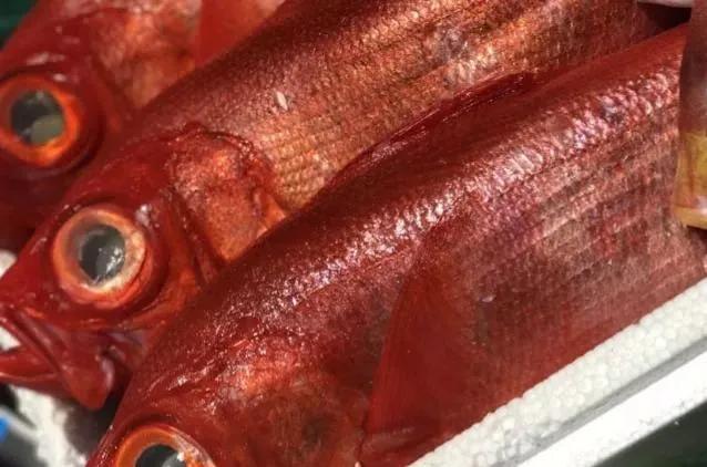 鱼类菜肴大全,鱼类食材大全