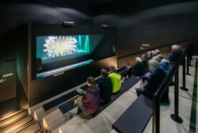 德国足球博物馆量角器,德国足球馆