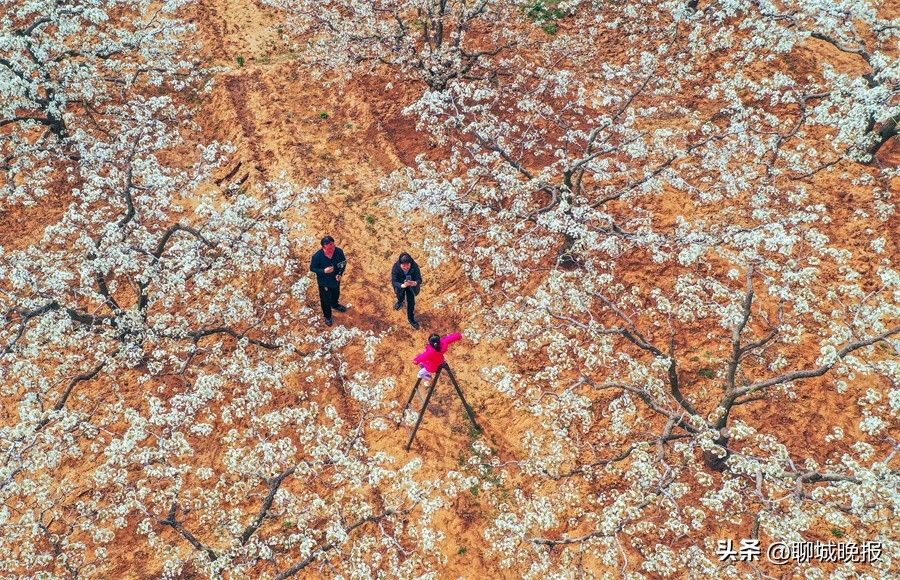 水务杯摄影作品,水务杯冠军