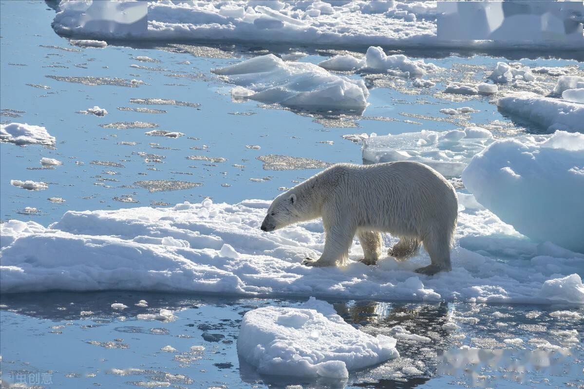 北极大陆架划界的国际法问题研究,北极大陆架划界