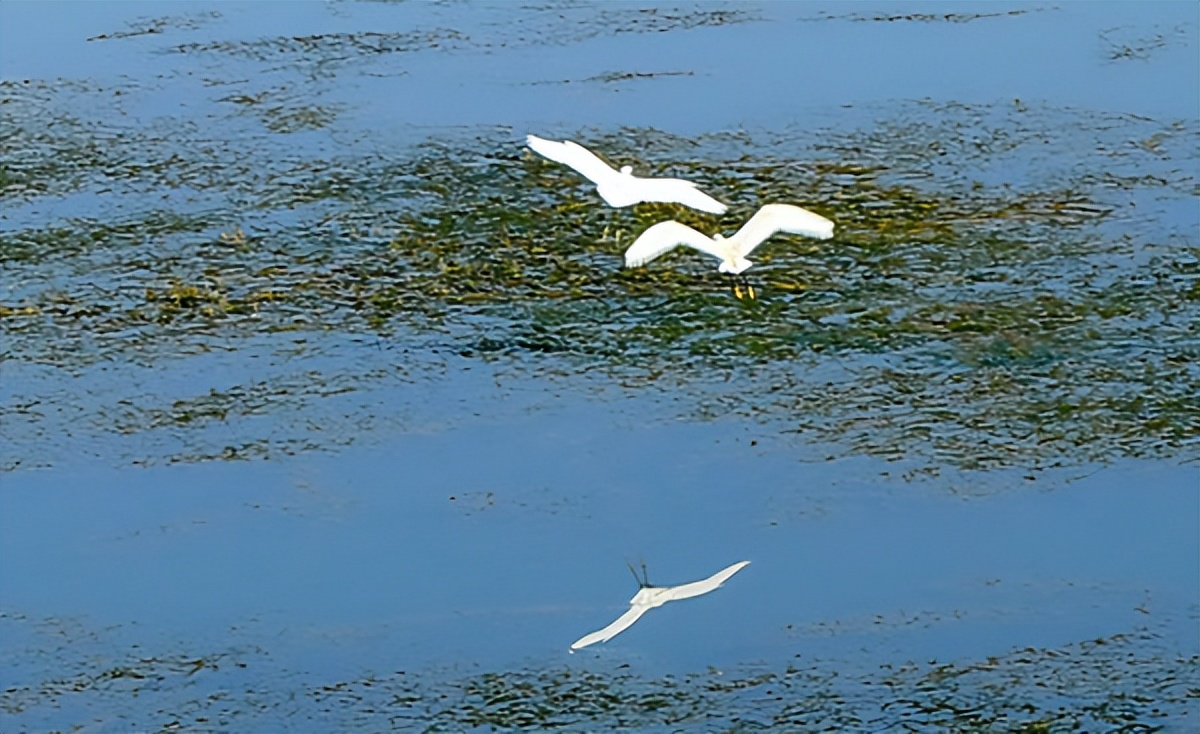 洛阳市汝阳的图片,汝阳县城美景