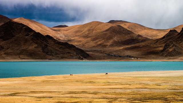 目前游戏充值排行榜,十大游戏充值排行榜12月