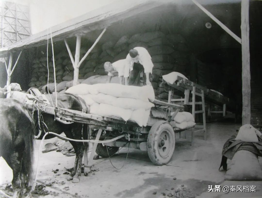 【老字号】档案见证中国粮食企业的“活化石”——陕西爱菊集团的发展历程