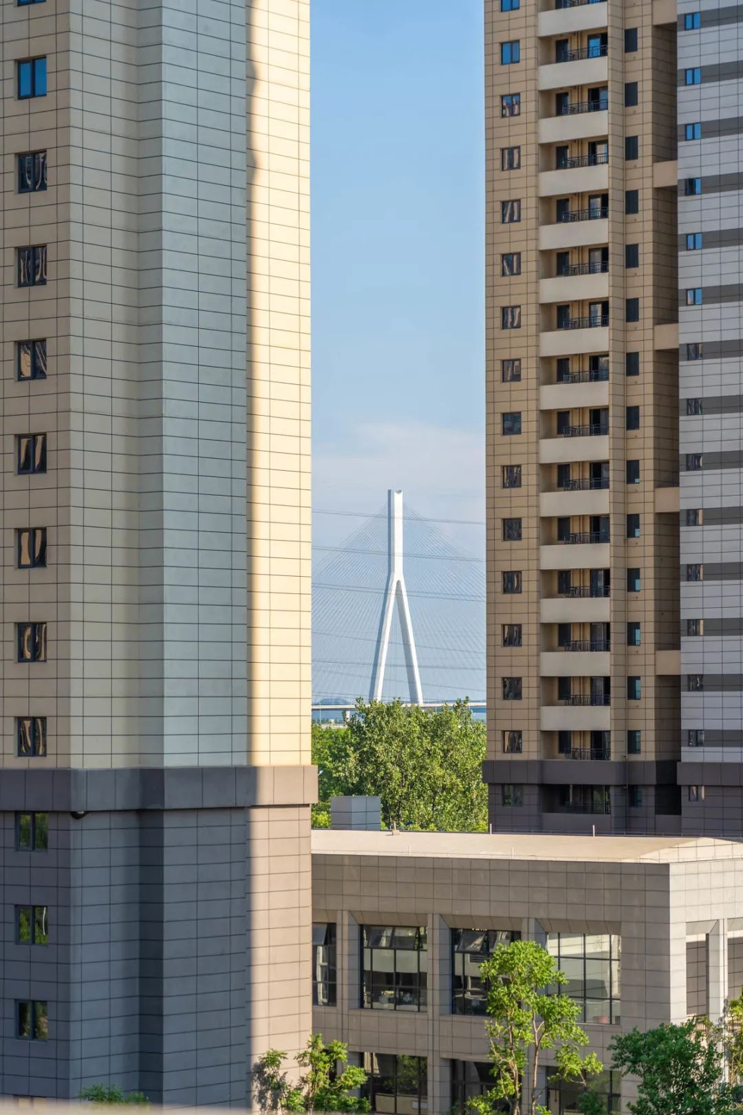 武汉各高校开学了吗,武汉经开新开学校