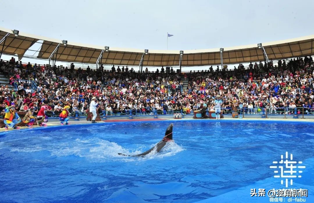 大连附近一日游旅游景点大全,大连哪里更好玩一日游景点