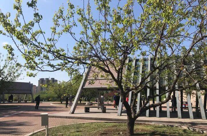 漫步南沙河，又是被“圈粉”的一天