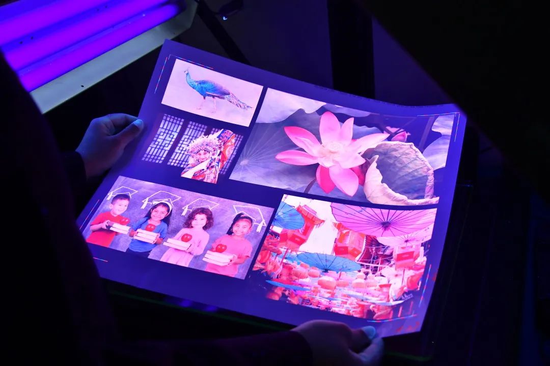 所有的护照都是真的吗,这本中国护照