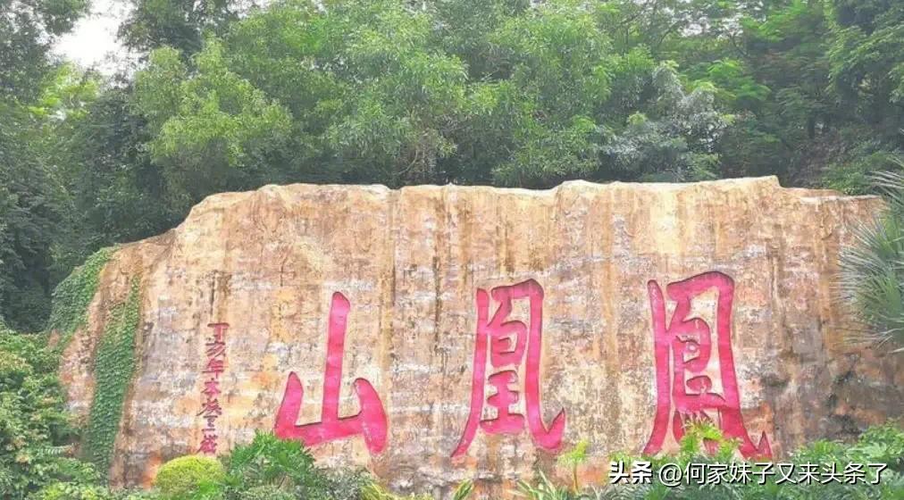 深圳凤凰山森林公园,深圳凤凰山森林公园电话