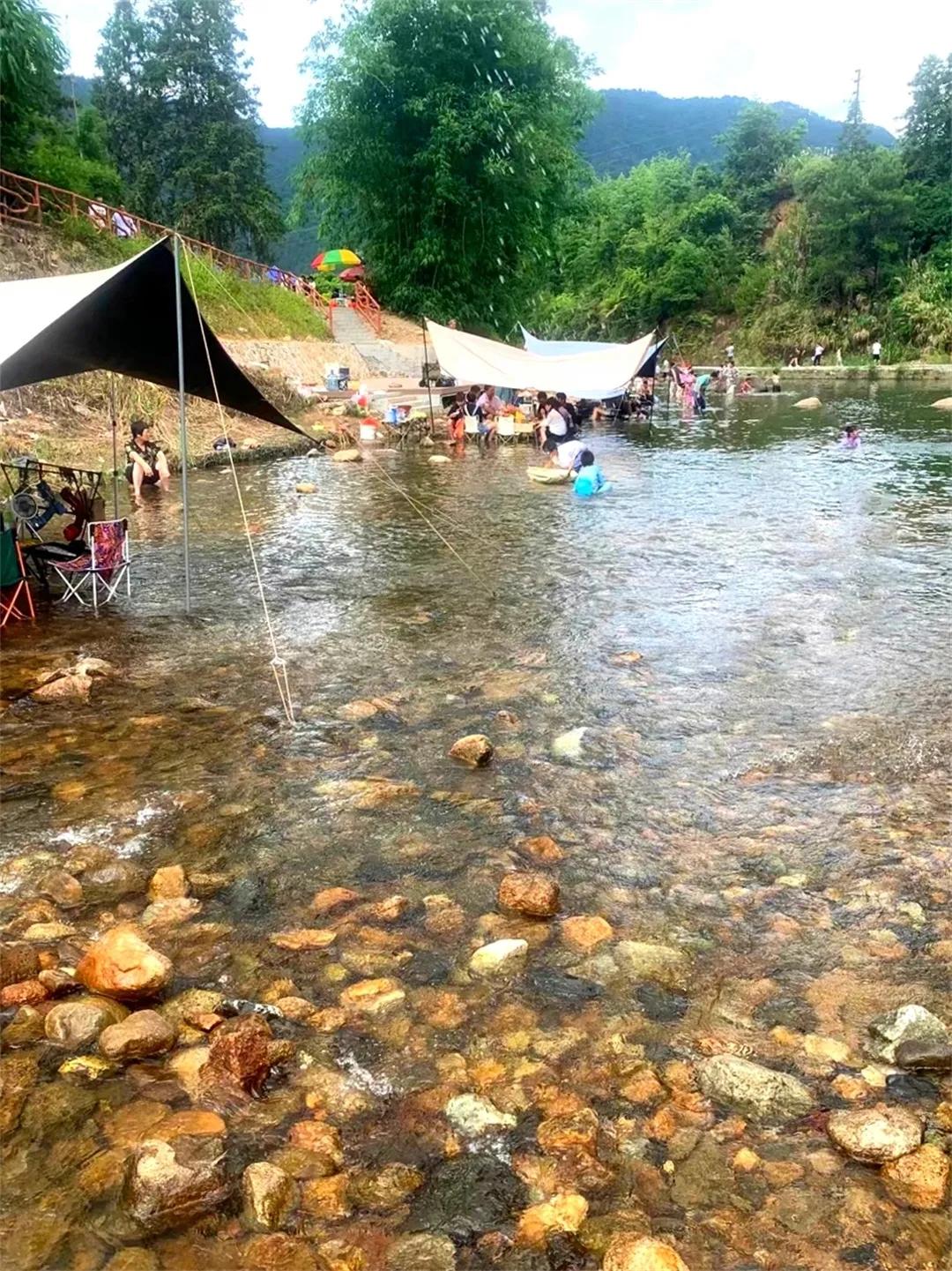 从化草埔村荷花游记,从化小杉村游玩攻略油菜花