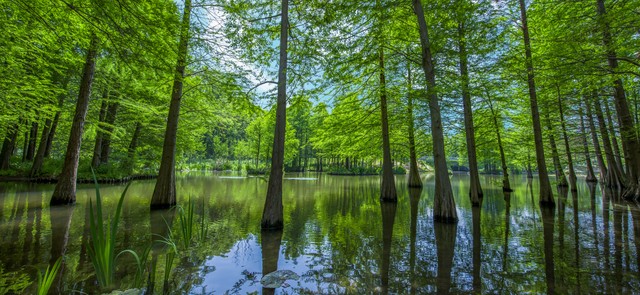 夏日的城市，大街小巷温暖的微风轻拂着人们的脸颊，带来一丝凉意