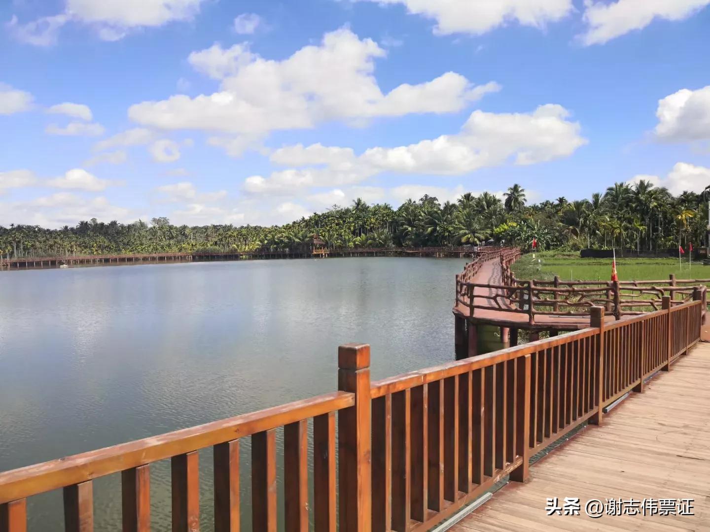 海南旅游创意名称,海南风情名字