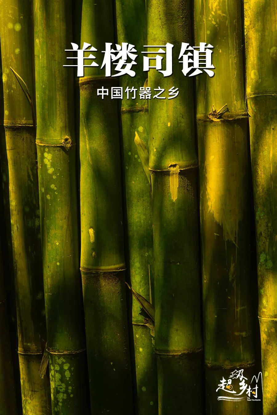 一根竹子铺就致富路,一根竹子挖动万亿产业