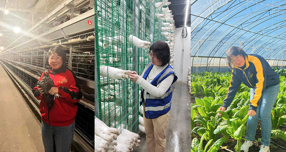 自动化在乡村振兴中的建议,乡村振兴科技人员献智献力