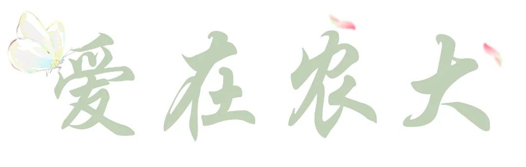 来到农大的心得体会,农大心得