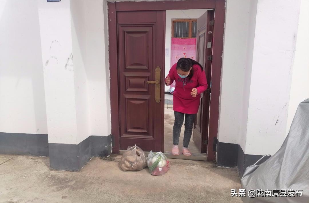 【新时代文明实践】代整撂荒地隔离不隔爱—康县平洛镇关爱服务再“升级”！