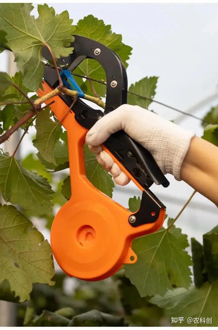 新款绑枝机葡萄绑枝神器,电动绑枝机绑葡萄配件