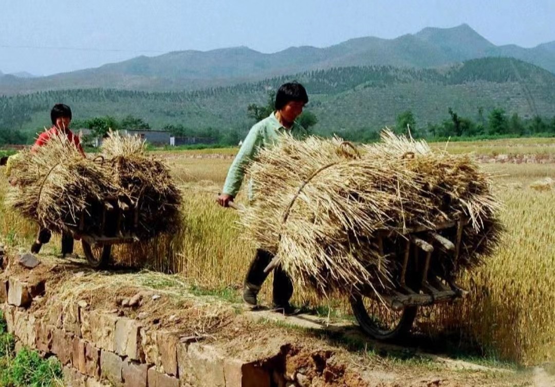 新农合涨价还能继续交吗,新农合涨价六类人不用交