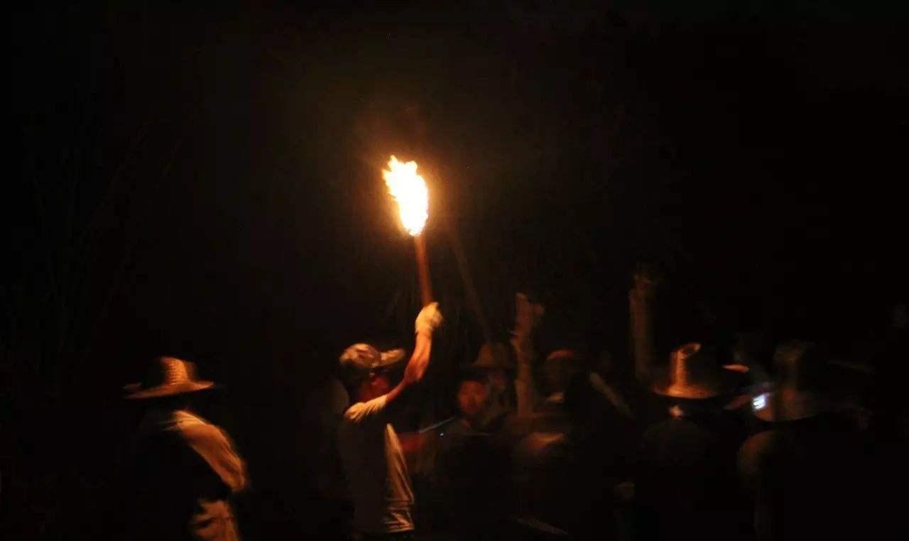 向日葵籽的功效与作用及营养价值,哪个地方种植的葵花籽营养好些