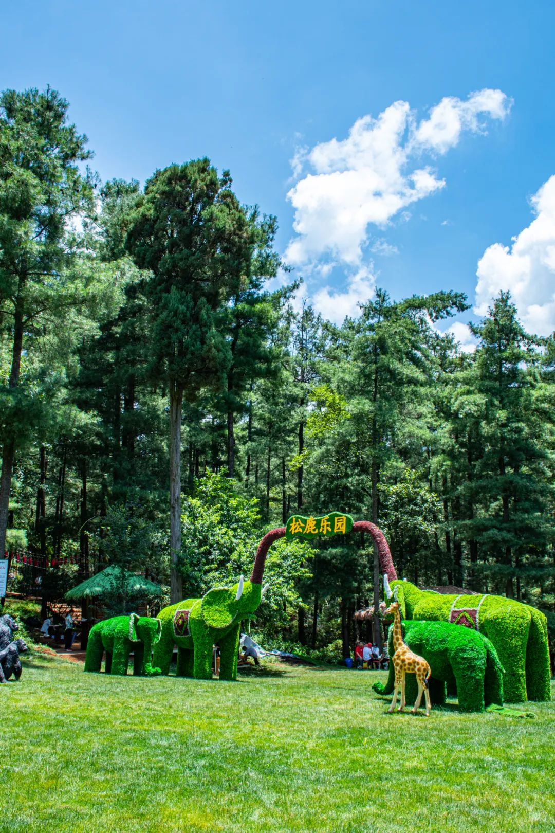 昆明松鹿部落风景区现在收门票吗,昆明松鹿部落景区