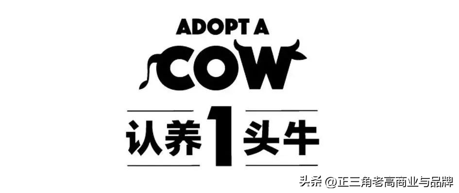 品牌1号位,1号位全价位推荐