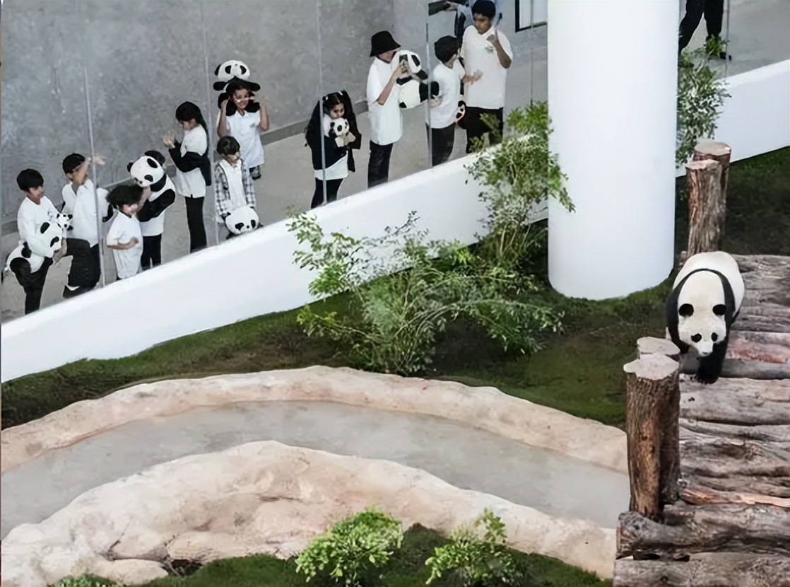 2022年卡塔尔世界杯没有中国吗,2022卡塔尔世界杯中国机会有多大