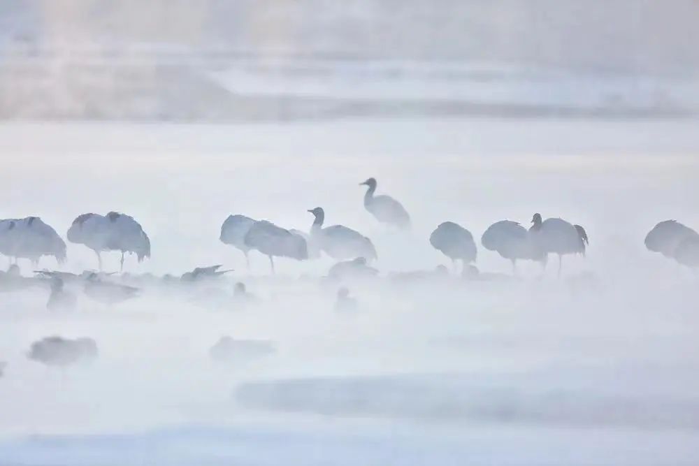 现在拉萨最火的地方,实话实说拉萨附近最值得玩的地方