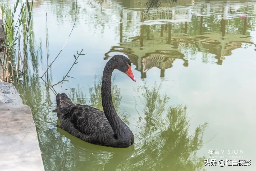 天津二宫关闭了么,天津二宫公园现在开放了吗