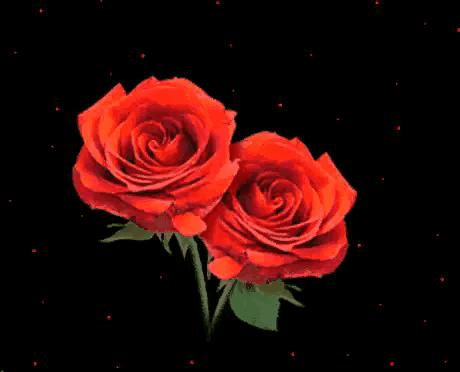 浪漫爱心图片大全,漂亮的爱心图片早上好