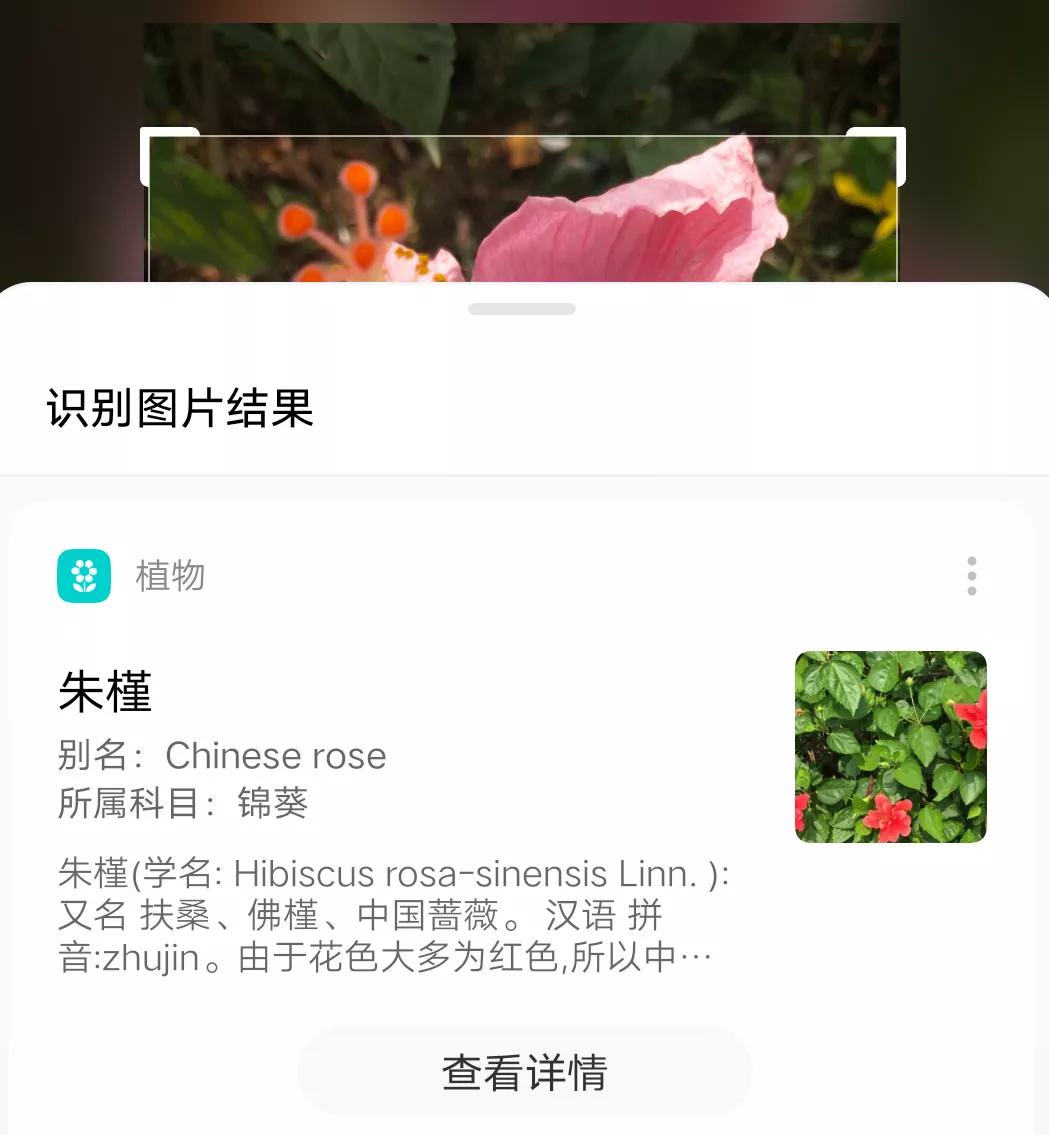 华为手机怎么识图认物,手机怎么识图